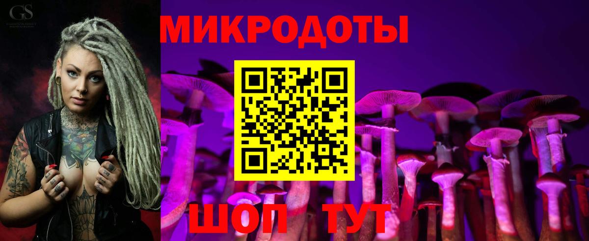 Псилоцибиновые грибы мицелий Красногорск