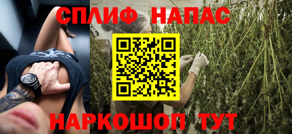 Конопля планчик Красногорск